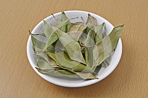 Lemon Myrtle dried Leaves photo