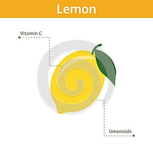 Lemon nutrient of facts and health benefits, info graphic fruit photo