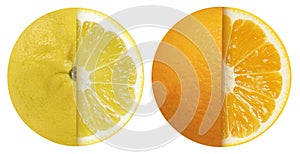 Lemon and orange on isolated white background.