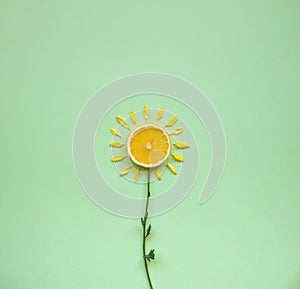 Lemon and orange pulpy with flower concept