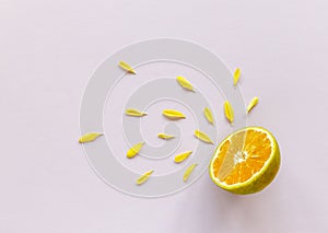 Lemon and orange pulpy with flower concept