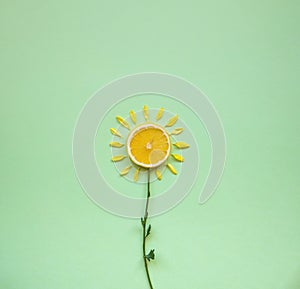 Lemon and orange pulpy with flower concept photo