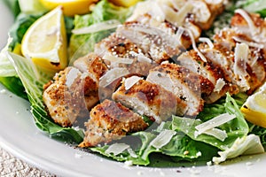 Lemon and Parmesan Crusted Chicken Salad for Healthy Lifestyle and Diet Menus