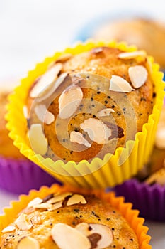 Lemon poppy seed muffins garnished with almond slivers