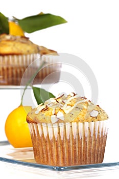 Lemon Poppyseed Muffin 2
