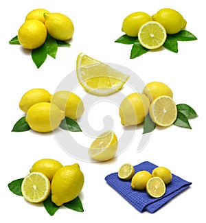 Lemon Sampler photo