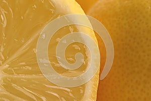 Lemon Segments