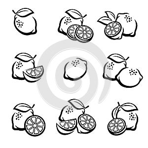 Lemon set. Vector