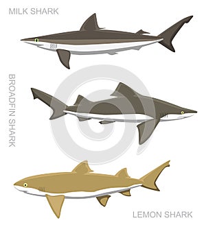 Lemon Shark Set Cartoon Vector Illustration photo