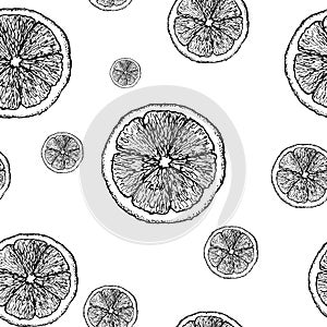 Lemon sketch pattern. Hand painted black slices of lemon on white, monochrome seamless background