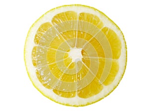 Lemon slice