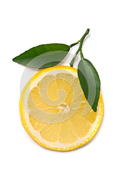 Lemon slice with fresh leaves