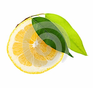 Lemon slice with green leaf