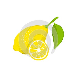 Lemon and slice of lemon on white background. Lemon icon. Vector illustration