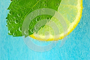 Lemon slice, mint leaf and water with bubbles