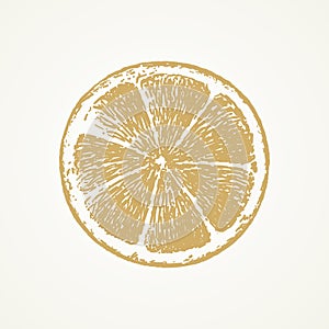 Lemon slice, Sketch hand drawn on brown background