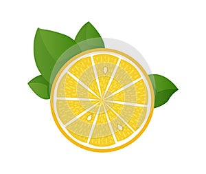 Lemon slice vector illustration on white background. Fresh sour lemon icon. Logo design