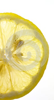 Lemon slice on white