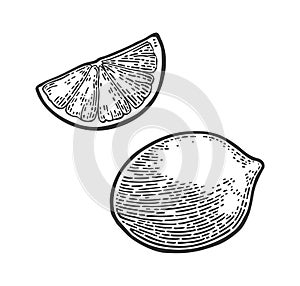 Lemon Slice and whole. Vector black vintage engraving