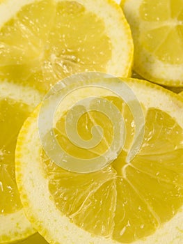 LEMON SLICES