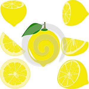 Lemon slices, collection of illustrations