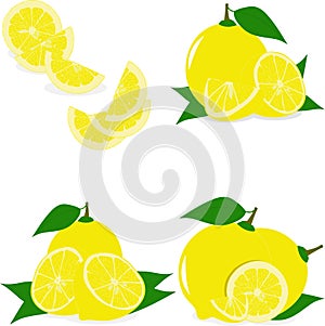 Lemon slices, collection of illustrations