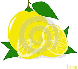 Lemon slices, collection of illustrations