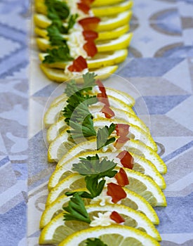 Lemon slices and colored herbs photo