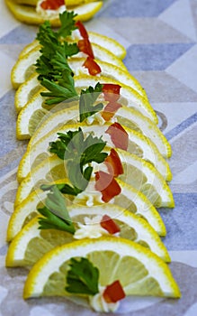 Lemon slices and colored herbs photo