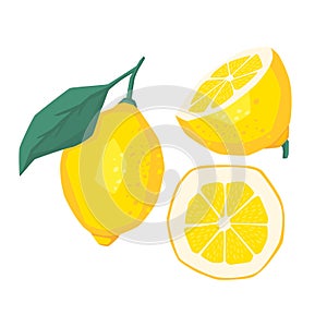 Lemon slices. Fresh citrus, half sliced lemons and chopped lemon. Cut lemons fruit slice and zest for lemonade juice