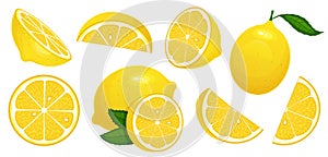 Lemon slices. Fresh citrus, half sliced lemons and chopped lemon isolated cartoon vector illustration set