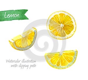 Lemon slices isolated watercolor illustration