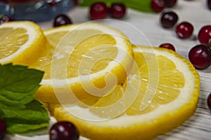 Lemon slices, mint and cranberries