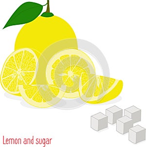 Lemon slices and sugar, collection of illustrations