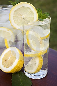 Lemon in Soda Water