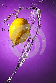 Lemon Splash on Purple