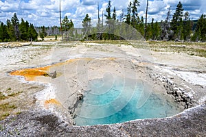 Lemon Spring hydrothermal area in the Great Fountain Group, Yellowstone National Park, USA