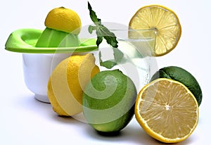 Lemon squeezer with lemon and lime juice with natural menta photo