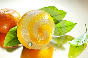 Lemon and tangerine