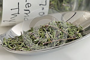 Lemon thyme