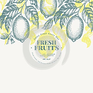 Lemon tree banner template. Hand drawn vector fruit illustration. Engraved style. Vintage citrus background.