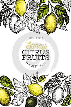 Lemon tree design template. Hand drawn vector fruit illustration. Engraved style banner. Vintage citrus design