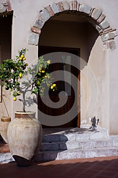 Lemon tree in doorway - Mediterranean scene