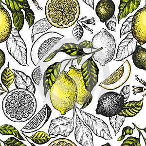 Lemon tree seamless pattern. Hand drawn vector fruit illustration. Engraved style banner. Vintage citrus design