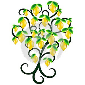 Lemon Tree Summer Juicy Fruit Vector Illustration