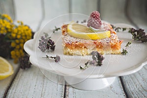 Lemon, vanilla and raspberry bars