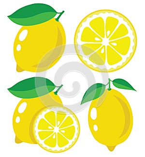 Lemon vector illustration