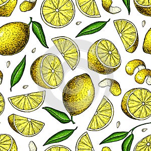 Lemon vector seamless pattern drawing. Summer citrus fruit print