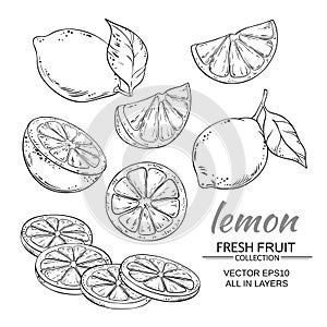 Lemon vector set