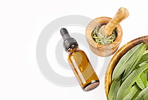 Lemon Verbena essential oil and leaves - Aloysia citrodora. White background